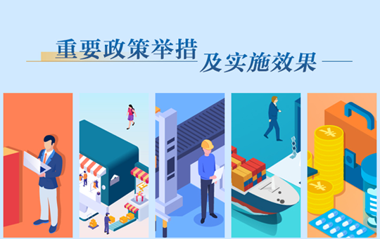 重要政策舉措及實施效果